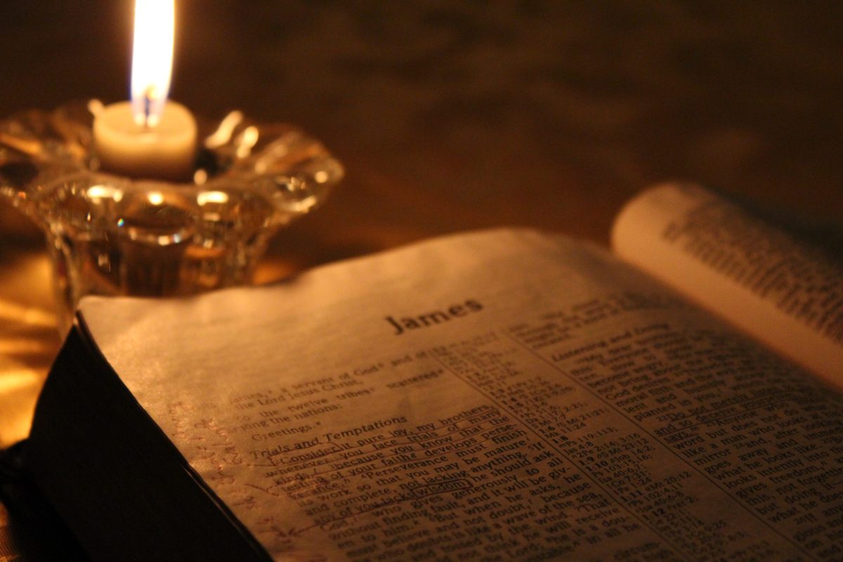 7 Things the Bible Says About Knowledge, Understanding, and Wisdom